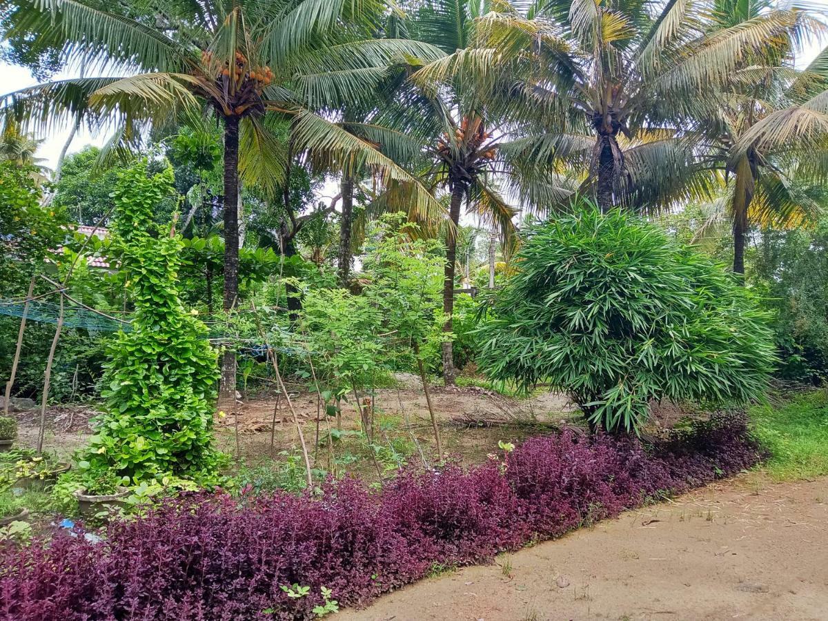 Marari Bethsaida Homestay Shertallai Екстериор снимка